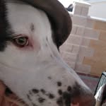 Gordon Fleming - @gordonfleming59 - Instagram