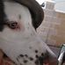 Gordon Fleming - Facebook