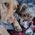 Gordon Fleming - @goggsie67 - Instagram