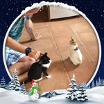 Gordon Fleming - @gordon.fleming.336 - Instagram