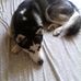 Gordon Foote - Facebook