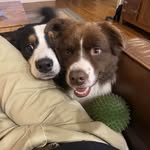 Nancy Gordon Foss - @nancyfoss - Instagram
