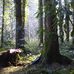 Gordon Frame - Facebook