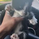 Gordon Galvan - @gordongalvan362 - Instagram