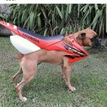 Carter Gordon Gillis - @cartergordongillis - Instagram