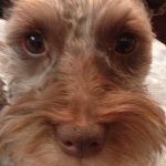 Gordon Gilmore - @gordongilmore - Instagram