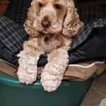 Gordon Gilmore - @gilmoregordon - Instagram