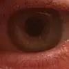 gordongreene990 - @gordongreene990 - TikTok