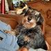 Gordon Grimm - Facebook