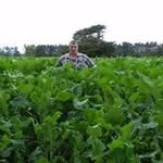 Gordon Gunn - @gunngordon - Instagram