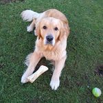 Gordon Gunn - @gordongunn5 - Instagram