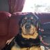 Gordon Gunn - Facebook
