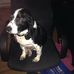 Gordon Hand - Facebook