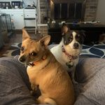 Gordon Haney - @seppe3413 - Instagram