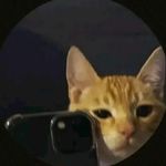 Hendrixgordon - @hendrixgordon420 - Instagram