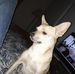 Gordon Herrick - Facebook