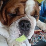 Mike Herrington - @gordon.herrington.12 - Instagram