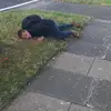 Gordon Hoffman - @thegordonhoffman - TikTok
