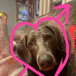 Susan Gordon Hoffman - @suezpepper_ - Instagram