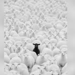 Gordon Hooker - Facebook