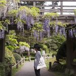 Gordon Huang - @hypsterism - Instagram