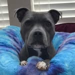 Gordon Kane - @gordondkane - Instagram
