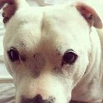 Gordon Kay - @gordon.kay.11 - Instagram