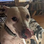 Gordon Kenny - @gordon.kenny.5 - Instagram