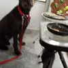 Gordon Kitchens - @gordon.kitchens - TikTok