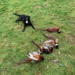 Gordon Knowles - @gck1983 - Instagram