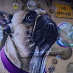 Gordon Laird - @laird3746 - Instagram