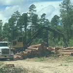GordonLand &Timber - @gordonlandtimber - Instagram
