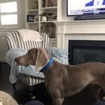 Gordon Law - @gordlawhomes - Instagram