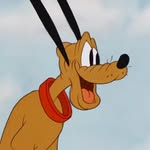 Gordon Law - @worst_doggy_ever - Instagram