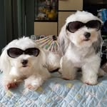 Gordon Law - @gordonlaw - Instagram