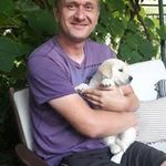 Gordon Link - @gordon.link.31 - Instagram