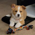 Gordon Link Jr - @gordon.j.link - Instagram