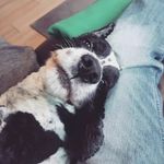 Gordon Lloyd - @gordon.lloyd.76 - Instagram
