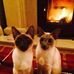Gordon Lynn - Facebook
