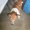 cŕowGordon Lyons - @cowgordon.lyons - TikTok