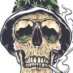 Gordon Lyons - @gdlyons5 - Instagram