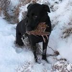 Gordon Mackenzie - @gordon.mackenzie.5 - Instagram