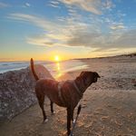 Gordon Macmillan - @gomac68 - Instagram
