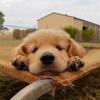 Gordon Mansfield - @ritac726a979 - TikTok