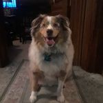 Cindy Gordon Maynard - @cindy.maynard.18659 - Instagram