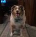 Cindy Gordon Maynard - Facebook