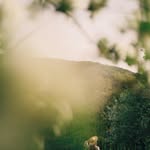 maynard gordon - @maynardgordon497 - Instagram