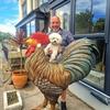 Gordon McArthur - @gordon.mcarthur - TikTok