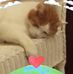Gordon Mcgregor - Facebook