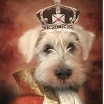 Gordon Mcgregor - @gordon_gram190723 - Instagram